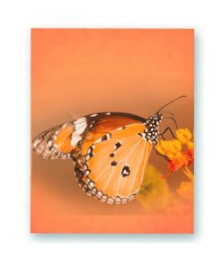 8.5x11 Orange Wafer Paper Edible Print