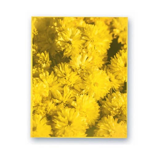 8.5x11 Yellow Wafer Paper Edible Print