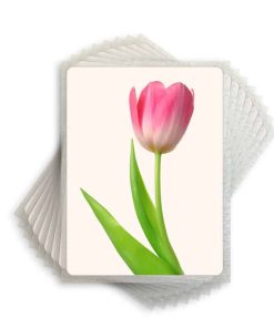 Icing Sheets Frostino 24 Pack Letter Size 8.5x11